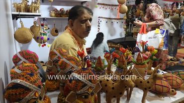 Shiv Shakti Seva Trust, Gujarat, India  International Trade Fair New Delhi