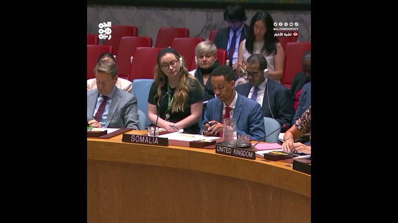 مجلس الأمن: تنظيم القاعدة ينقل أسلحة مهربة للحوثيين براً وبحراً