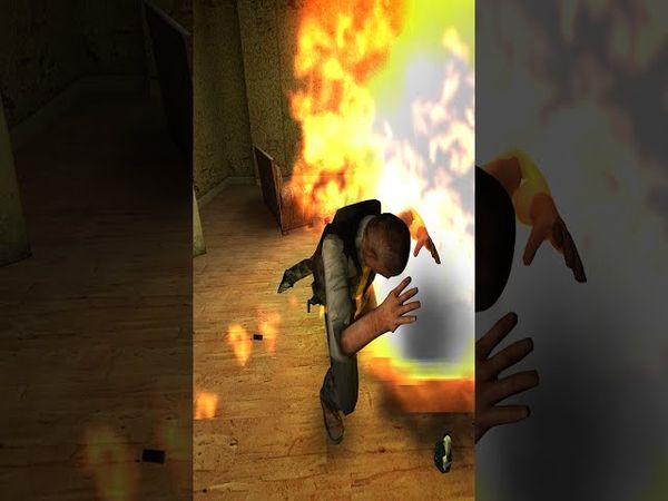 Сидорович адски флексит