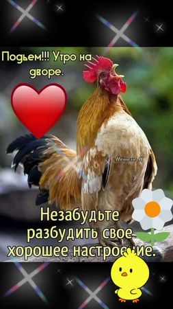 доброе утро 🌅 лёгкого понедельника 😒