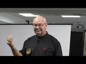 Мастер-класс 15 01 2022 по системной работе на висцере