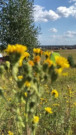 🦋🥺 #эстетика #бабочки #природа #атмрсфера #бабочка #🦋 #прекрасное #кр...