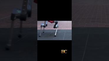 Four-legged robot plays badminton with humans