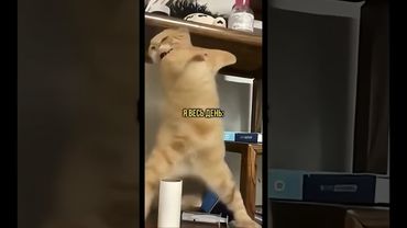 для настроения! #танцули