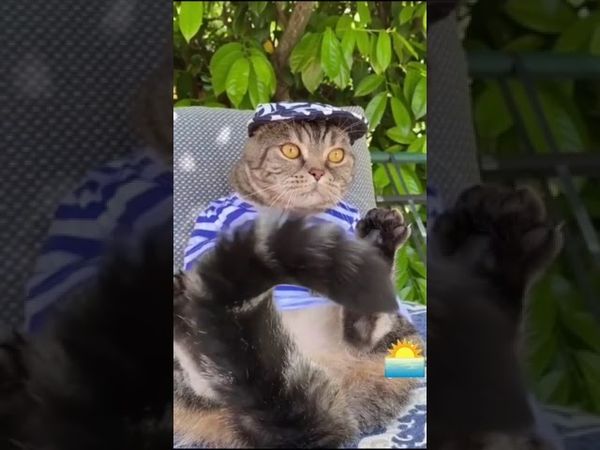 С началом лета!☀️☀️☀️ #shorts