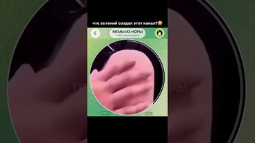 Тгк: memyiznory #мемы #прикол #кружок #мем #приколы #юмор #смешно