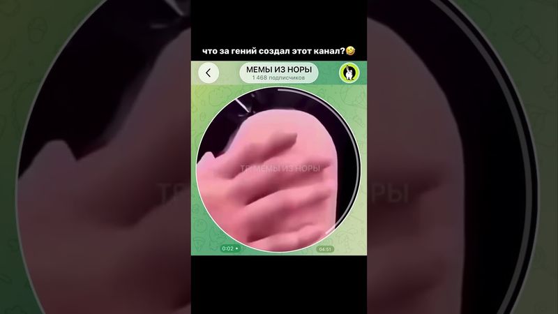 Тгк: memyiznory #мемы #прикол #кружок #мем #приколы #юмор #смешно