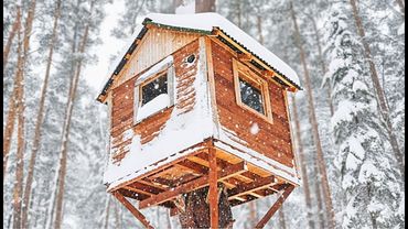 ДОМ НА ДЕРЕВЕ ВСКРЫЛИ - Вернулся Спустя Год!