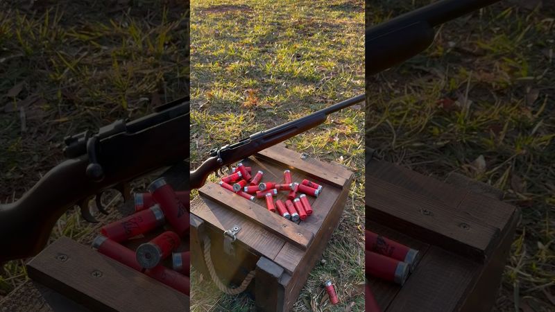 WW1 era German Gew 98 Mauser GEHA shotgun #12gauge #shotgun  #WW1 #vintage #trending #germany #gun