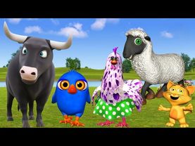 El Pollito pío 3d el Toro y el Tractor de la Granja -el Pollito y el Tractor de la Granja