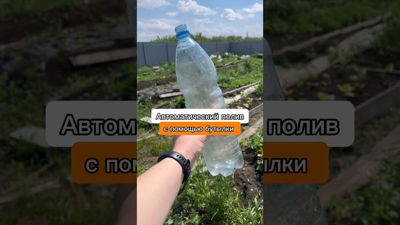 Это работает! Как сделать полив без насоса из бочки