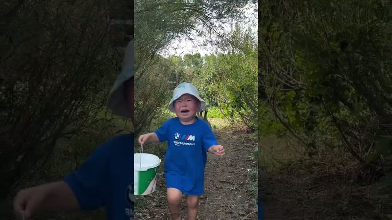 Мальчик убегает от гуся. #рекомендации #рек #реки #гусь #мальчик #прикол