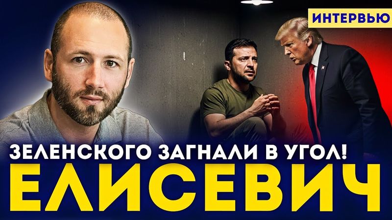 🚨 Елисевич: Зеленскому поставили ультиматум — либо мир сейчас, либо война без США