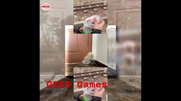 запрос от @LETOT6005: PLPMV ci欽納斯‧哈塞什‧阿札札茲之歌 Scan