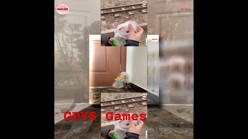 запрос от @LETOT6005: PLPMV ci欽納斯‧哈塞什‧阿札札茲之歌 Scan