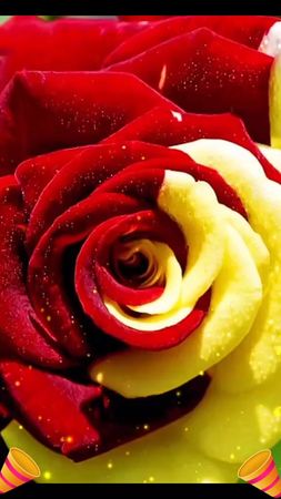 #сднемрождения #самыйлучшийдень #поздравляюотдуши #🎂🎈🎉🎁🎊