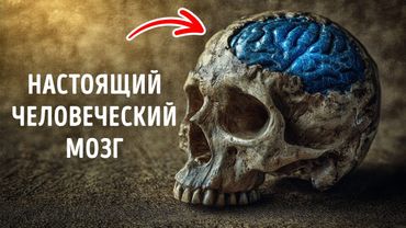 Археологические находки, которые переопределили наше истинное лицо