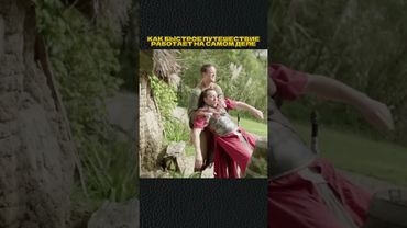 #shorts #игры #скетч #vldl #фильм #кино