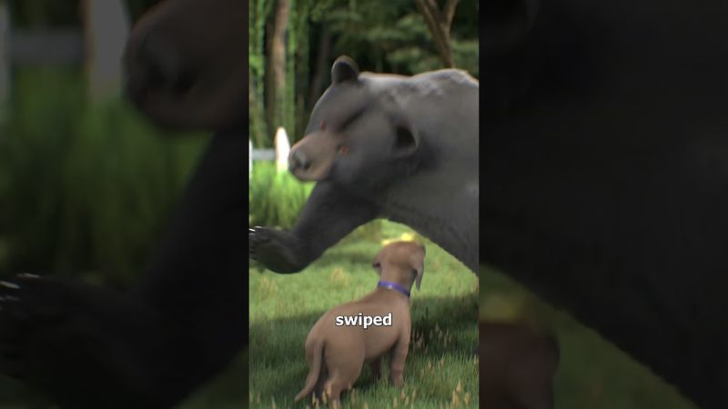 Dog Saves Woman From A Bear Attack 😱