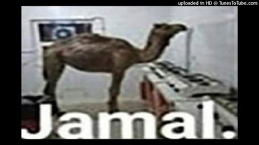 безумные зомби