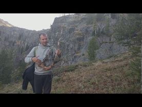 Перформанс на арфе