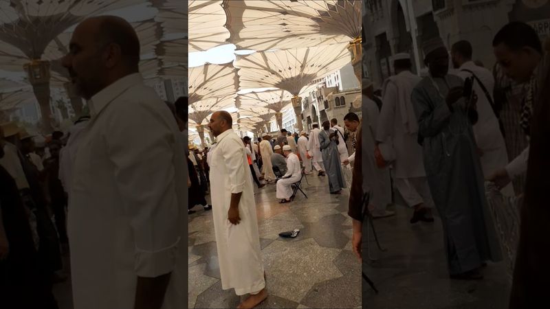 Nabawi#shorts