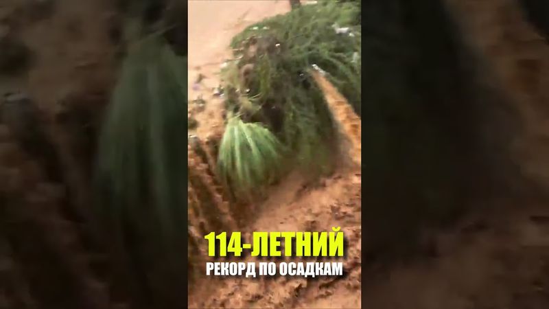 В Индии выпало рекордное за 114 лет количество осадков