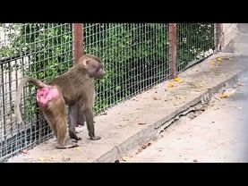 Мы в СТУПОРЕ! Влад просто взял Люсю, открыл дверь и она ЗАШЛА к Елисею и Лиде!!!