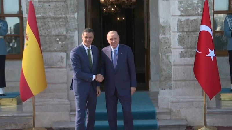 Turkish President Recep Tayyip Erdogan meets Spanish Prime Minister Sanchez | AFP