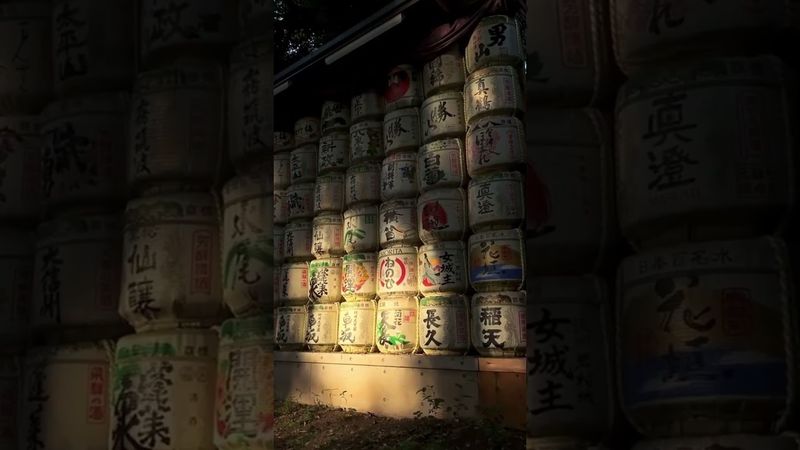 Алина Рин в файлах Эпштейна