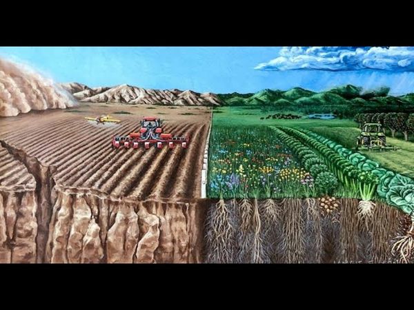 Цель подражать ЖИЗНИ и улучшите качество почвы для ФЕРМЕРОВ и не только