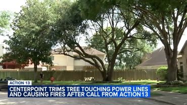 Action 13 gets tree branches trimmed after power line fires in Pasadena