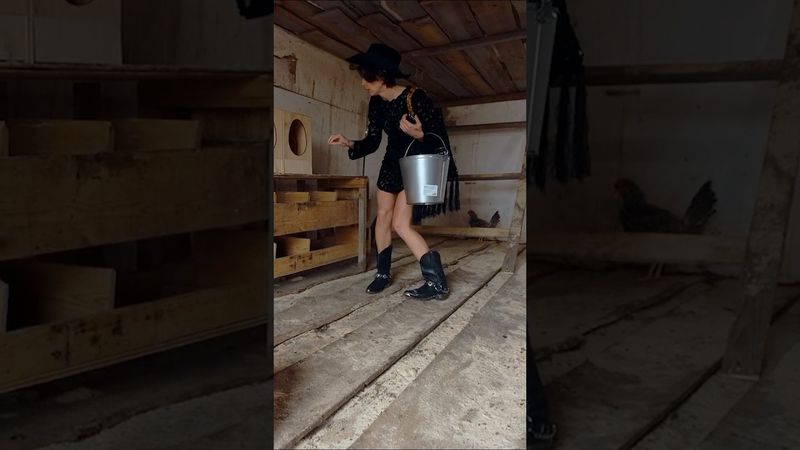 Курица теперь меня ненавидит #ивлеева #чегеря #реалити