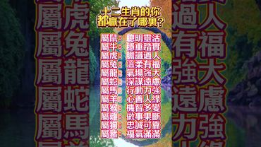 十二生肖的你都贏在了哪裏？#生肖 #十二生肖 #運勢 #生肖運勢 #玄學 #風水 #命理