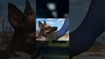 ЕКСКЛЮЗИВ ПРО РАННІ БІЛДИ ФАЗМОФОБІЇ | 100 ФАКТІВ PHASMOPHOBIA | ФАКТ 11 | СОБАКА У ФАЗМІ? #shorts