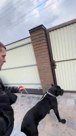 #корней #корней💪 #врек #тцк #реки #врекомендации #репостни🔥 #тіктокук...