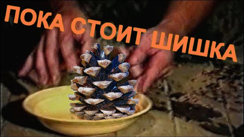 Зелёный слоник - Пока стоит шишка