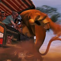 #cartoon #edit #madagascar 