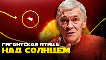 МИГАЮЩИЕ ПОЛОСЫ НА МАРСЕ / КУСКИ ЛУНЫ – СПУТНИКИ ЗЕМЛИ / ОГРОМНАЯ ПТИЦА НАД СОЛНЦЕМ. Владимир Сурдин