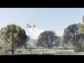 Forest fires break out as heatwave grips southern Europe | AFP