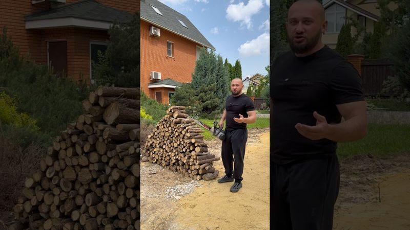 На меня написали ЗАЯВЛЕНИЕ за спиленное ДЕРЕВО 🌲