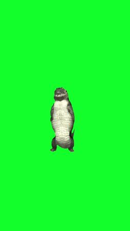 Dancing alligator meme #Meme #MemeCut 