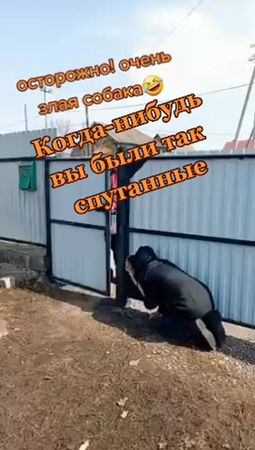 TikTok video #7033068777893874946