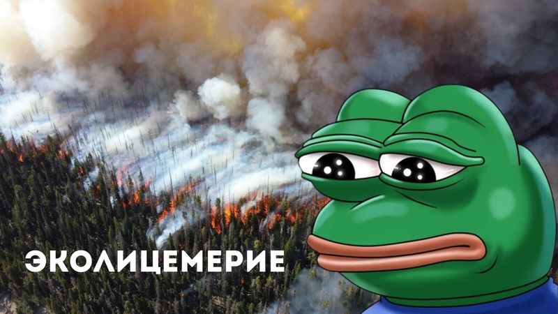 КАК ЭКОАКТИВИСТЫ УНИЧТОЖАЮТ ПЛАНЕТУ |  и это только начало