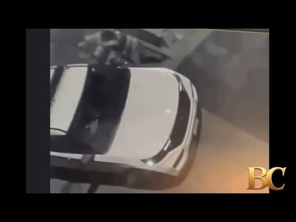 Obama’s female secret service staff caught brawl outside his DC mansion