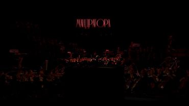 Опера : «Мандрагора» композитор : П. Дранга и П. Чайковский | Дирижер: Валерий Абисалович Гергиев