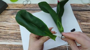 Сборка листьев