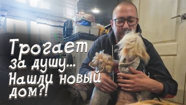 "Tears of joy... Little hearts have finally found a home?