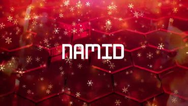 Интро №64 (20.12.2024 - 13.01.2025) (НГ)