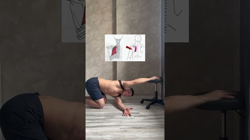 Сутулость уйдет если делать это